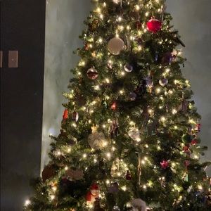 Meet your Posher, Patti